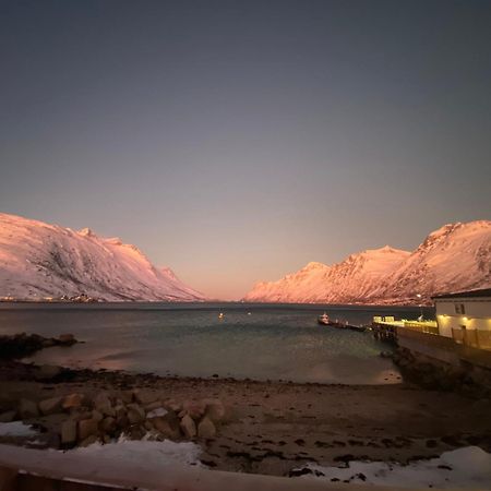 House Of Ellie Bed & Breakfast Ersfjordbotn ภายนอก รูปภาพ